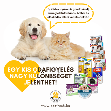 Külső és belső élősködők elleni termékek