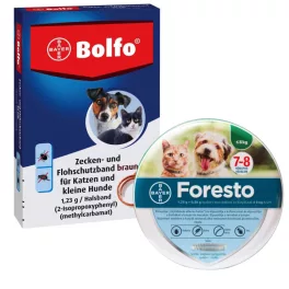 Bolhanyakörv