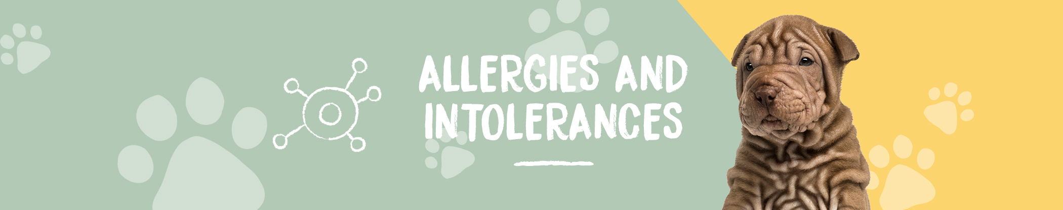 kutyatáp allergiás kutyáknak